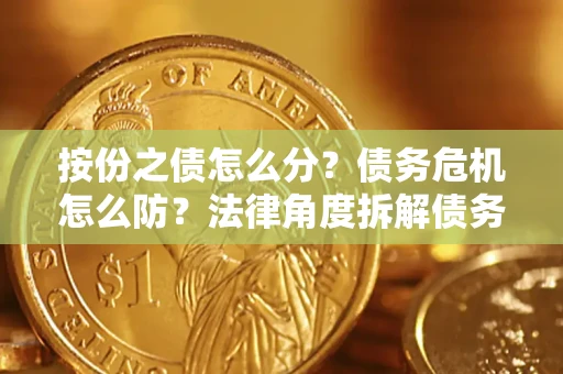 武汉按份之债怎么分？债务危机怎么防？法律角度拆解债务分配与风险自保指南