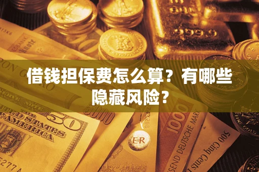 武汉借钱担保费怎么算？有哪些隐藏风险？