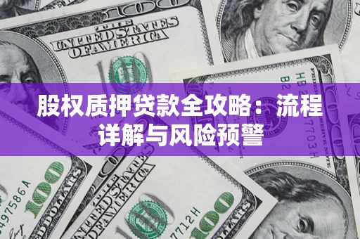 武汉股权质押贷款全攻略：流程详解与风险预警