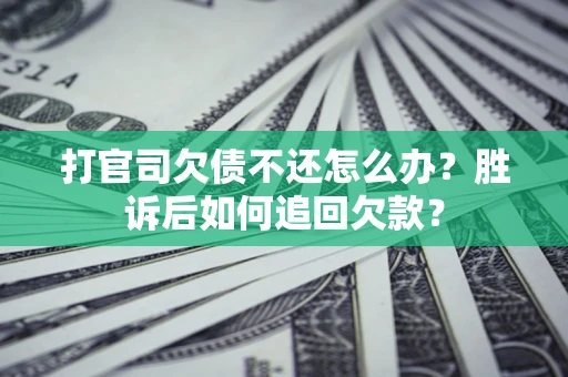 武汉打官司欠债不还怎么办？胜诉后如何追回欠款？