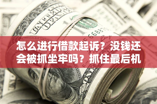 武汉怎么进行借款起诉？没钱还会被抓坐牢吗？抓住最后机会！