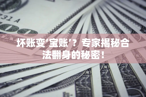 武汉坏账变‘宝账’？专家揭秘合法翻身的秘密！