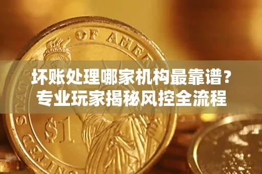 武汉坏账处理哪家机构最靠谱？专业玩家揭秘风控全流程