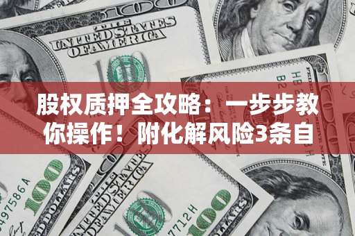 武汉股权质押全攻略：一步步教你操作！附化解风险3条自救法则