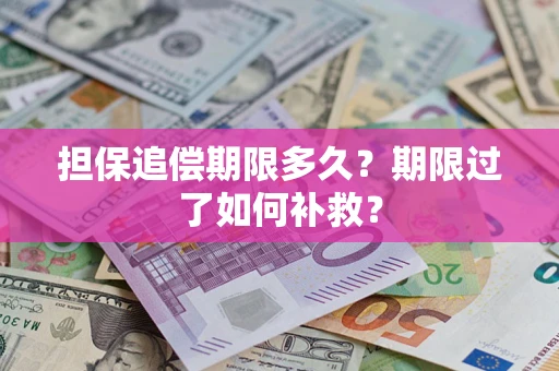 武汉担保追偿期限多久？期限过了如何补救？