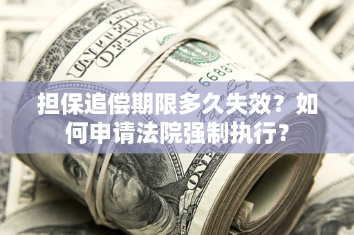 武汉担保追偿期限多久失效？如何申请法院强制执行？