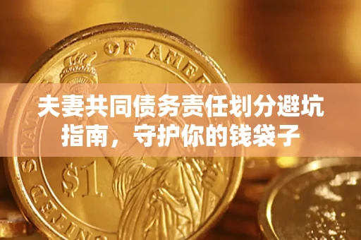 武汉夫妻共同债务责任划分避坑指南，守护你的钱袋子