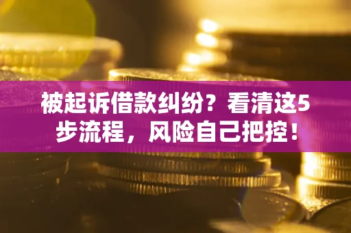 武汉被起诉借款纠纷？看清这5步流程，风险自己把控！