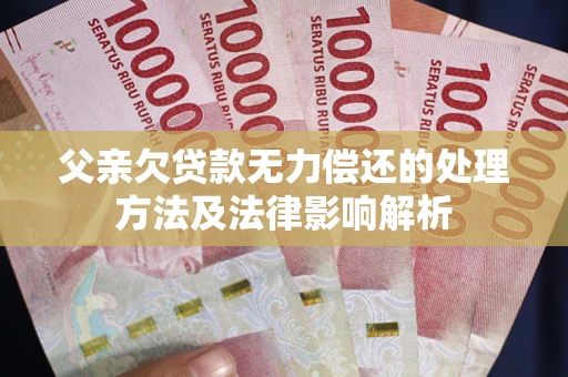 武汉父亲欠贷款无力偿还的处理方法及法律影响解析