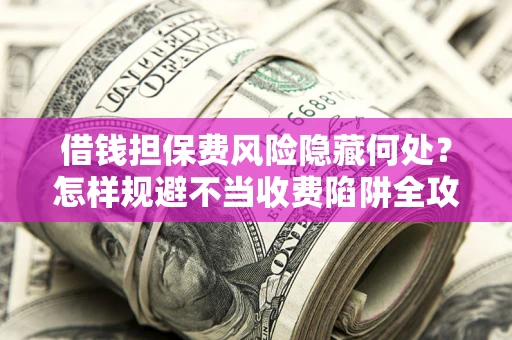 武汉借钱担保费风险隐藏何处？怎样规避不当收费陷阱全攻略！