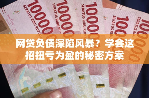 武汉网贷负债深陷风暴？学会这招扭亏为盈的秘密方案